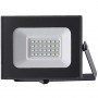 PROIETTORE LED-SMD 20W PEGASO 6000K FREDDA