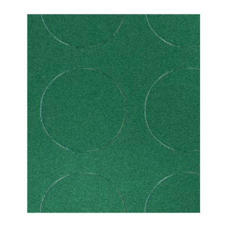 COPRIPAVIMENTO BOLFLEX H 100 VERDE CS002