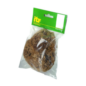 SPUGNA MARINA NATURALE 14 CM P\PITTURE   SM