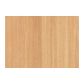 RT PLASTICA ADESIVA 280.2608 FAGGIO PIENO 2