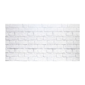 PANNELLO DECORATIVO 50X100 CM DIS. MURO