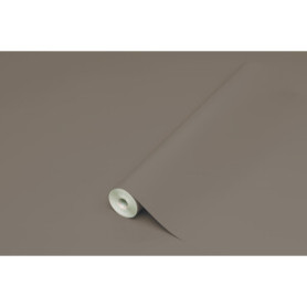 PLASTICA ADESIVA HOMEDECO 288.3236 15 M TORT\LUC
