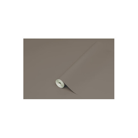 PLASTICA ADESIVA HOMEDECO 288.3236 15 M TORT\LUC