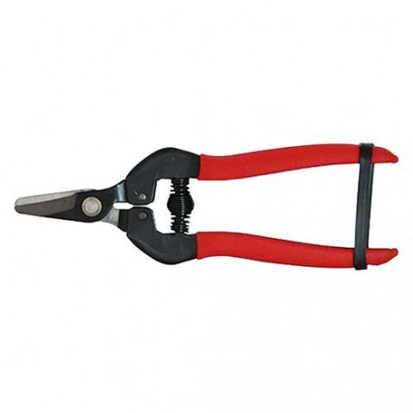 FORBICI COGLIUVA cm 16 - pz. 1