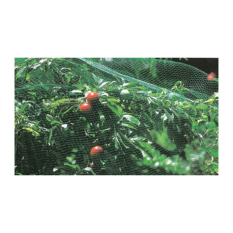 RETE DI PROTEZIONE ANTIUCCELLI H 2X10 M VERDE