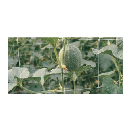 RETE P\RAMPICANTI H 2X 10 M BIANCO