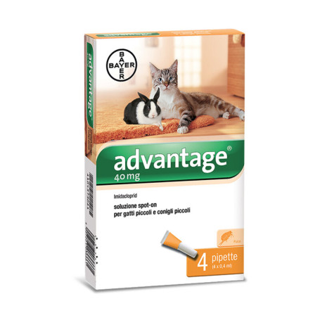BAYER ADVANTAGE SPOT ON 40 GATTI FINO A 4 KG