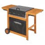 BARBECUE A GAS 'ADELAIDE 3 WOODY DG' kw 14