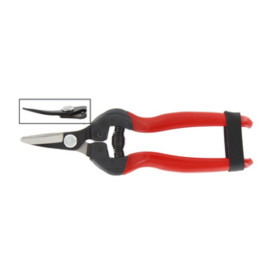 FORBICI P\UVA LAME CURVE PROF