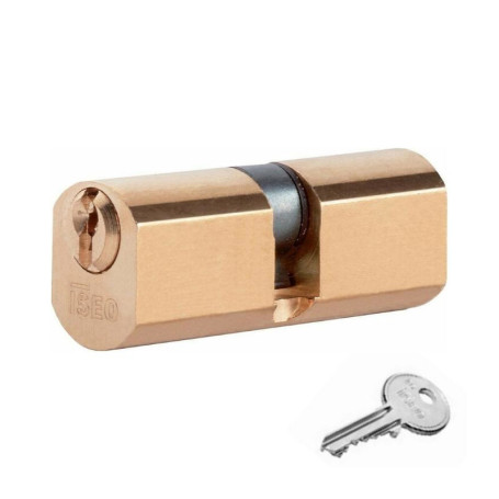 ISEO F5 8400 CILINDRO TONDO 27-27 D22 OTTONATO C\3CH