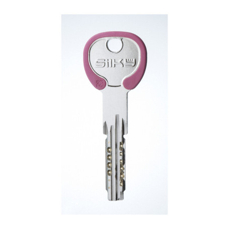 SILCA WA1RDZ CHIAVE PROFILO SILKY OTTONE