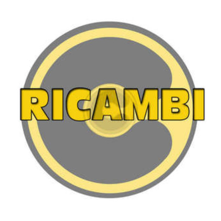 R CM 80\90 GUARNIZIONE FLANGIA AUT. ART.410281