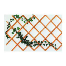 C TRALICCIO IN CANNA DI BAMBOO D14\16MM 100X200CM