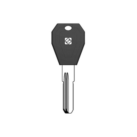 SILCA TLC2RP CHIAVE PUNZONATA OTTONE