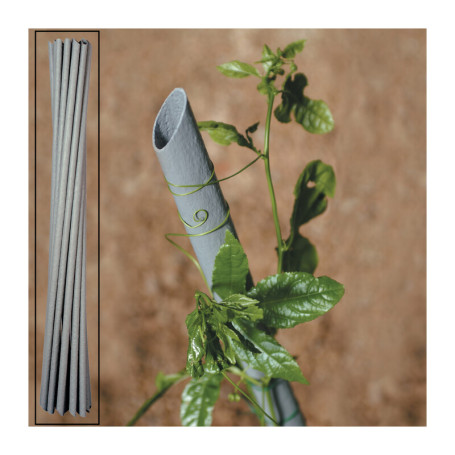 CANNETTA PVC P\PIANTE VIGNA D 23XH150 CM