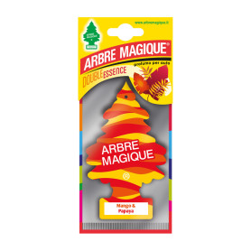 ARBRE MAGIQUE DOUBLE MANGO E PAPAIA ARBRE MAGIQUE DOUBLE MANGO E PAPAIA