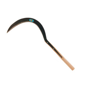 MARGHERITA SEGHEZZO 776\AL C\MAN 53 CM X 37 MM