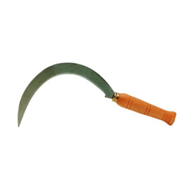 FALCIOLA DENTATA 2510  22