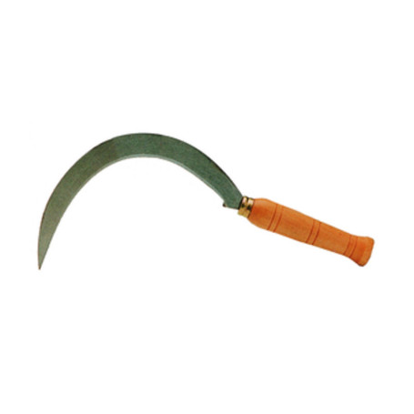 FALCIOLA DENTATA 2510  22