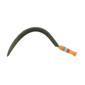 ZENITH FALCIOLA 658  41