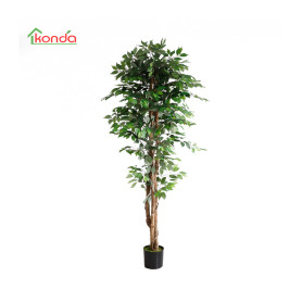 C PIANTA FICUS ARTIFICIALE 210 CM