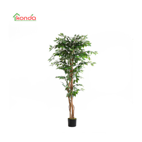C PIANTA FICUS ARTIFICIALE 180 CM
