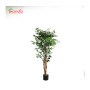 C PIANTA FICUS ARTIFICIALE 150 CM