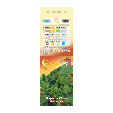 SEMI ORTO CIMA DI RAPA QUARANTINA