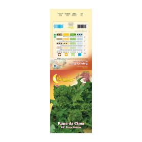 SEMI ORTO CIMA DI RAPA NOVANTINA