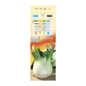 SEMI ORTO FINOCCHIO ROMANESCO