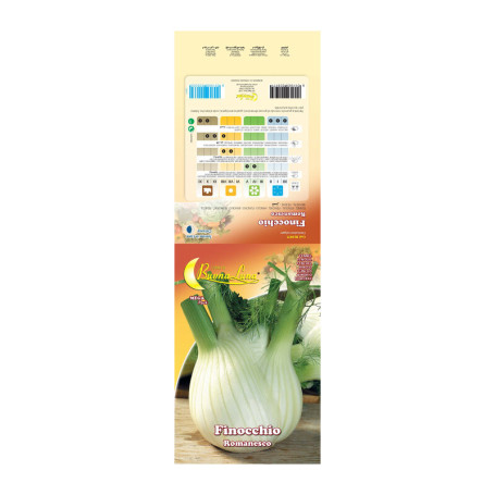 SEMI ORTO FINOCCHIO ROMANESCO