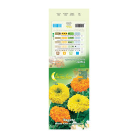 SEMI GARDEN TAGETE NANO