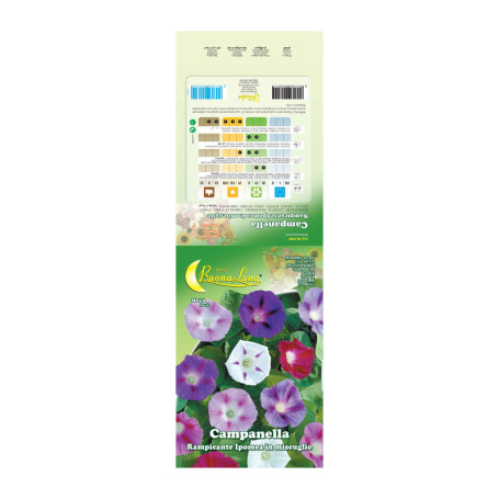 SEMI GARDEN CAMPANELLA