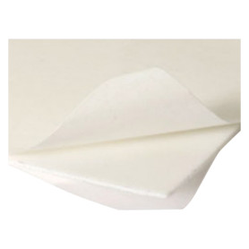 FELTRINO BIADESIVO mm 85 x 100 pz. 1 cf. 50 pz
