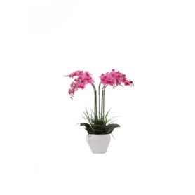 C ORCHIDEA C\VASO BIANCO 60 CM