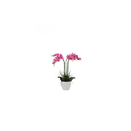 C ORCHIDEA C\VASO BIANCO 60 CM