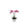 C ORCHIDEA C\VASO BIANCO 60 CM