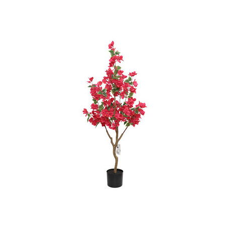 C BOUGANVILLEA 120 CM
