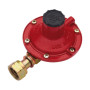 REGOLATORE GAS P\CENTRALINA DADO SX 4 KG\H OUT 3\8