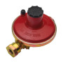 REGOLATORE GAS P\BOMBOLONE 10 KG\H F 1\2 OUT F 1\2