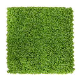 C SIEPE ARTIFICIALE PANNELLO 100X100CM GREEN