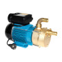 ELETTROPOMPA TRAVASO 1