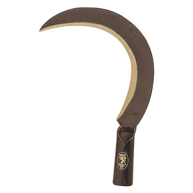 RONCOLA  SCANSANO  cm 26