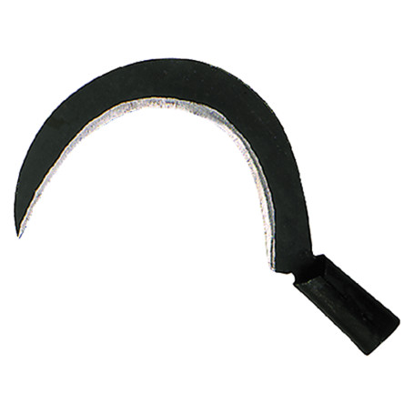 RONCOLA  SCANSANO  ART. 113 N. 2 cm 29