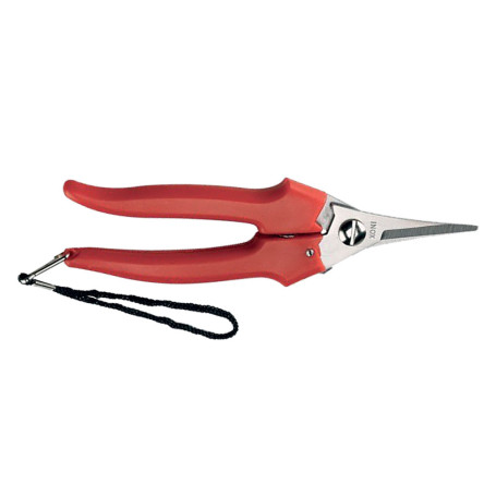 FORBICI COGLIUVA  LAME STRETTE  art. 31329 - cm 19