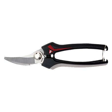 FORBICI COGLIUVA  3622  cm 19