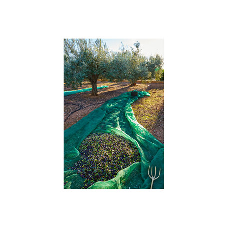 C RETE P\OLIVE ANTISPINA 80G  7X14M