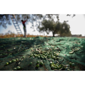 C RETE P\OLIVE ANTISPINA 32G 4 X250M CALABRIA