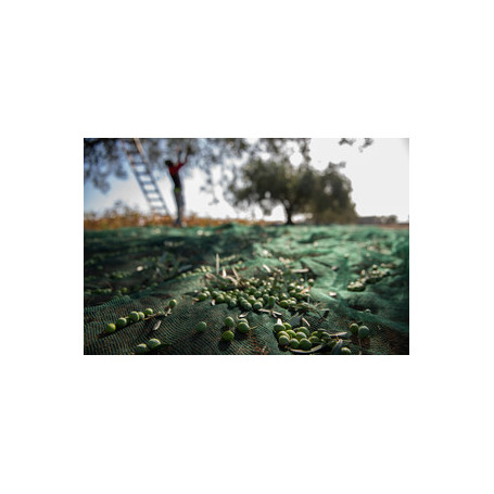 C RETE P\OLIVE ANTISPINA 32G 4 X250M CALABRIA