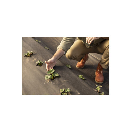 C TELO PACCIAMATURA PP H 2